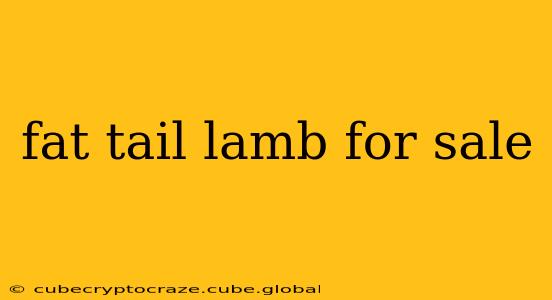fat tail lamb for sale