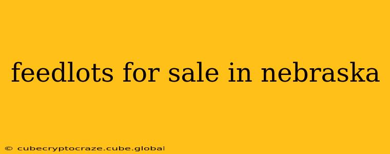 feedlots for sale in nebraska