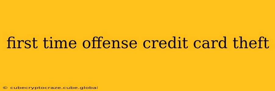 first time offense credit card theft