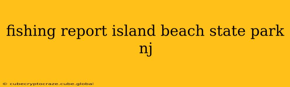fishing report island beach state park nj