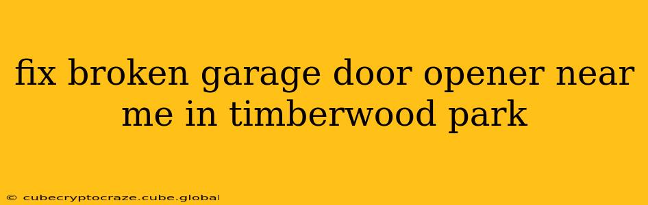 fix broken garage door opener near me in timberwood park