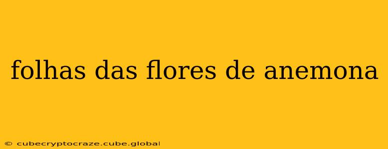 folhas das flores de anemona