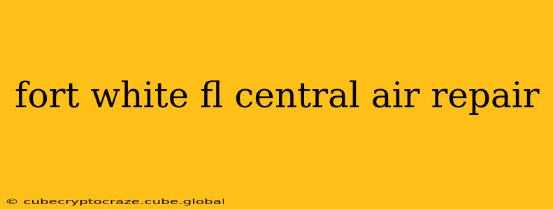 fort white fl central air repair