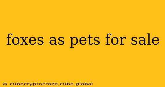 foxes as pets for sale