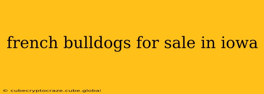 french bulldogs for sale in iowa