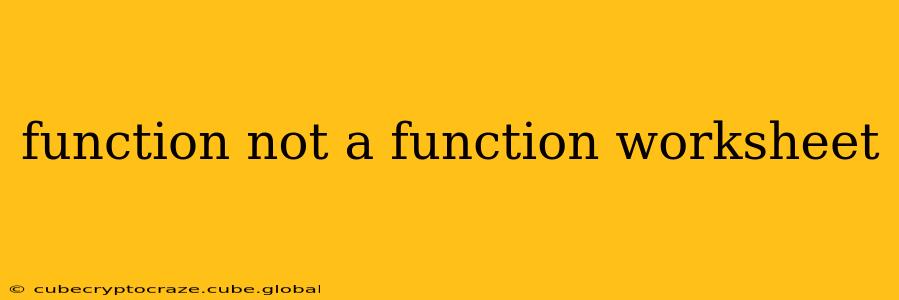 function not a function worksheet