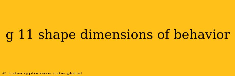 g 11 shape dimensions of behavior