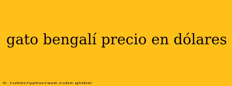 gato bengalí precio en dólares