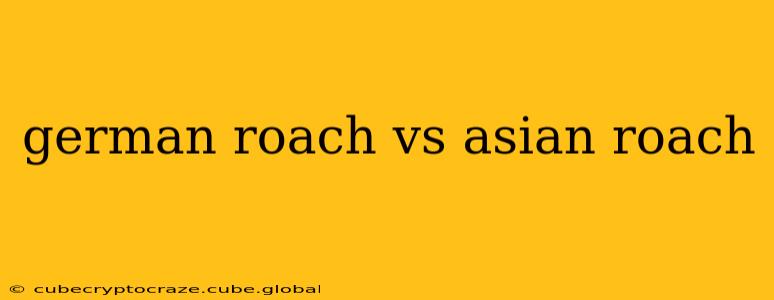 german roach vs asian roach