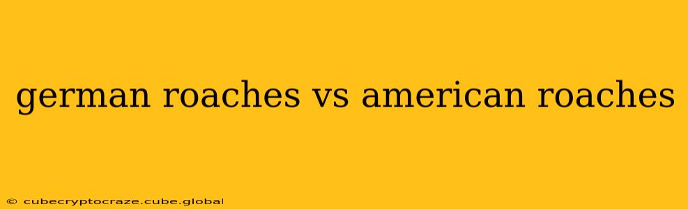 german roaches vs american roaches