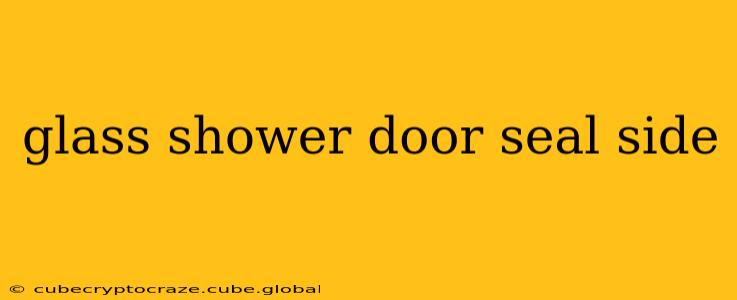 glass shower door seal side