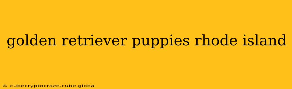 golden retriever puppies rhode island