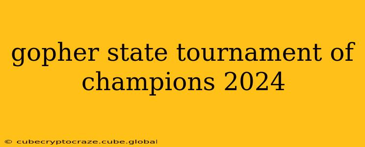 gopher state tournament of champions 2024