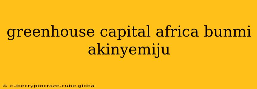 greenhouse capital africa bunmi akinyemiju