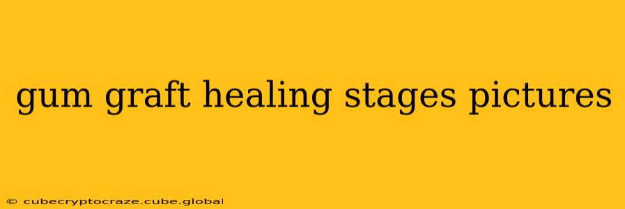 gum graft healing stages pictures