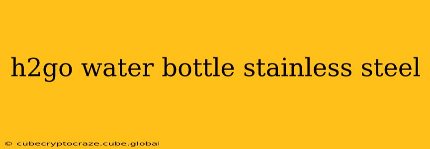 h2go water bottle stainless steel