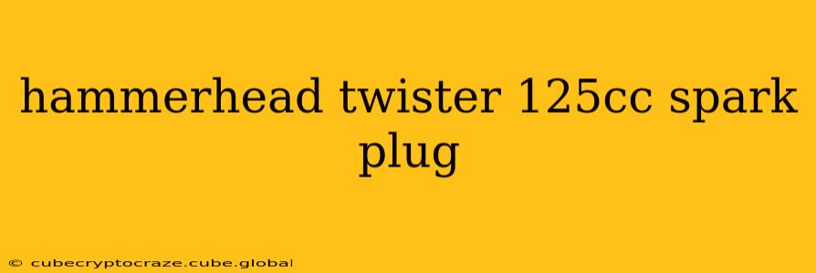 hammerhead twister 125cc spark plug