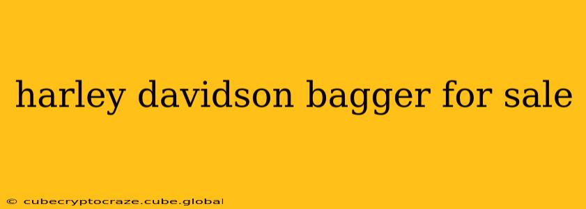 harley davidson bagger for sale