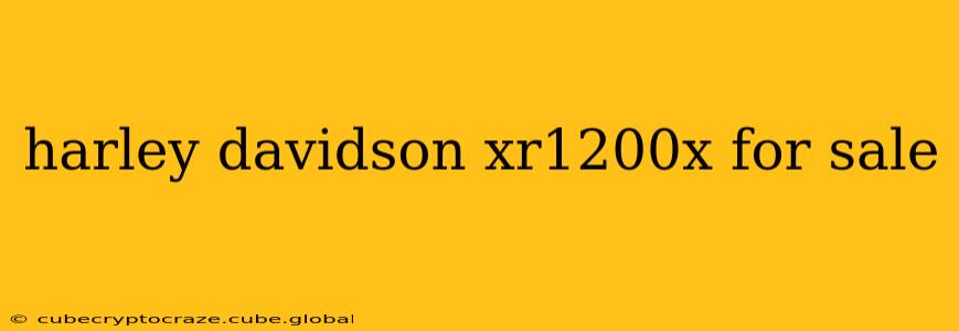 harley davidson xr1200x for sale