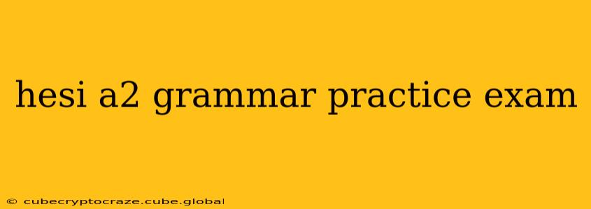 hesi a2 grammar practice exam