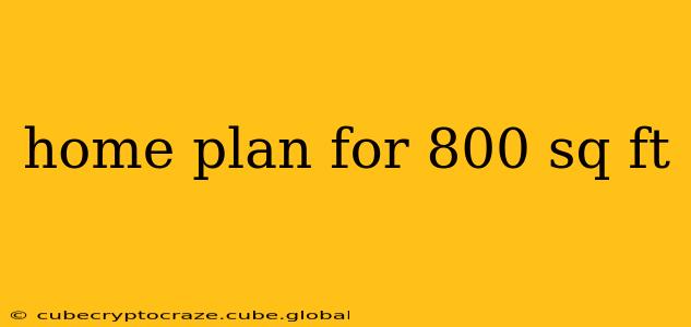 home plan for 800 sq ft