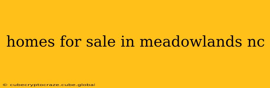homes for sale in meadowlands nc