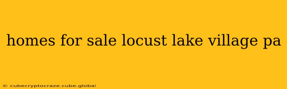 homes for sale locust lake village pa