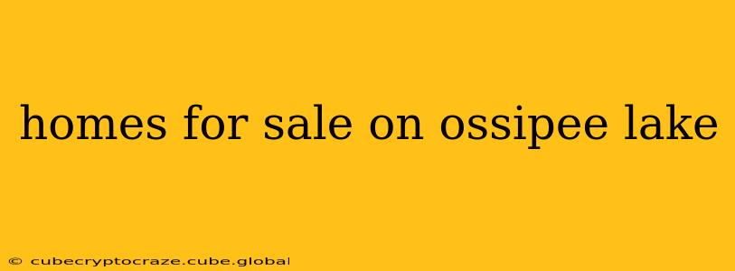 homes for sale on ossipee lake