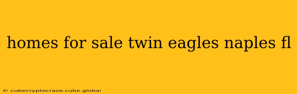 homes for sale twin eagles naples fl