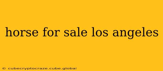 horse for sale los angeles