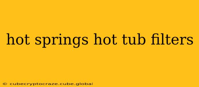 hot springs hot tub filters