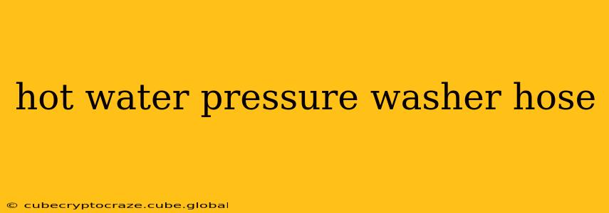 hot water pressure washer hose