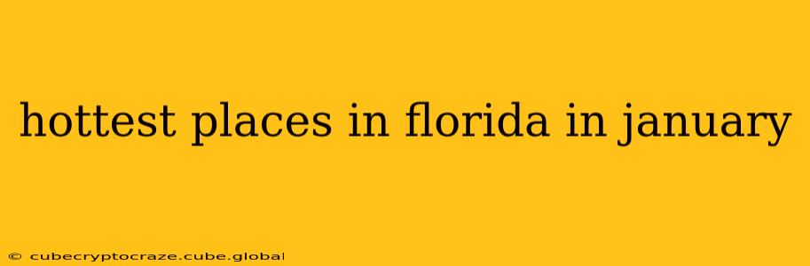 hottest places in florida in january