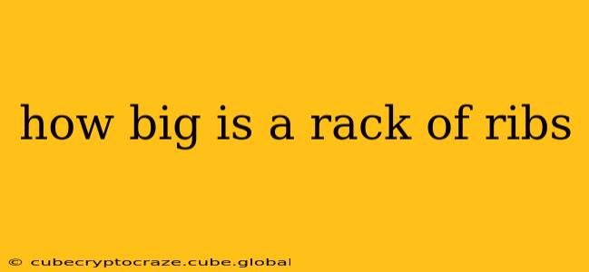 how big is a rack of ribs