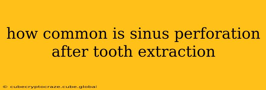 how common is sinus perforation after tooth extraction