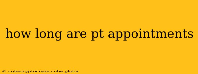 how long are pt appointments