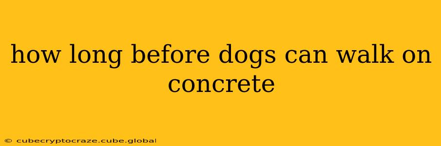 how long before dogs can walk on concrete