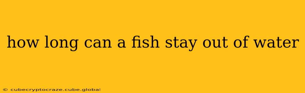 how long can a fish stay out of water