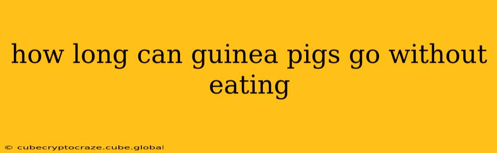 how long can guinea pigs go without eating