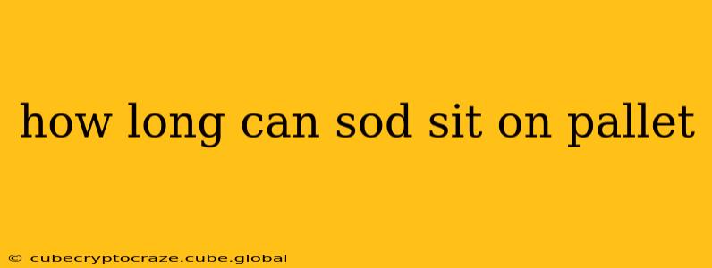 how long can sod sit on pallet