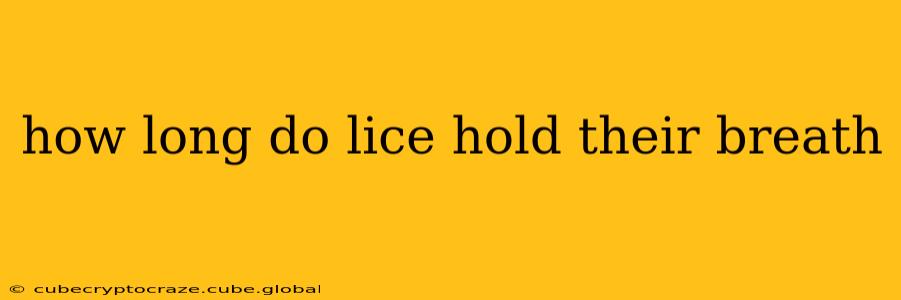 how long do lice hold their breath