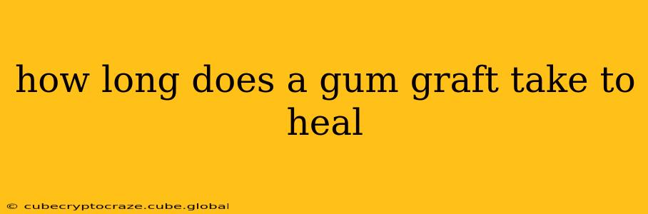 how long does a gum graft take to heal