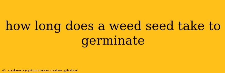 how long does a weed seed take to germinate