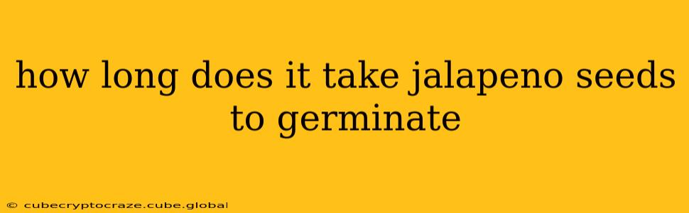 how long does it take jalapeno seeds to germinate