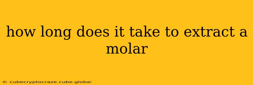 how long does it take to extract a molar