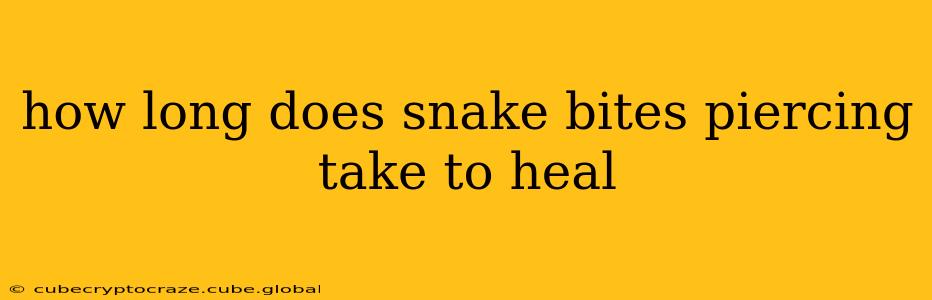 how long does snake bites piercing take to heal