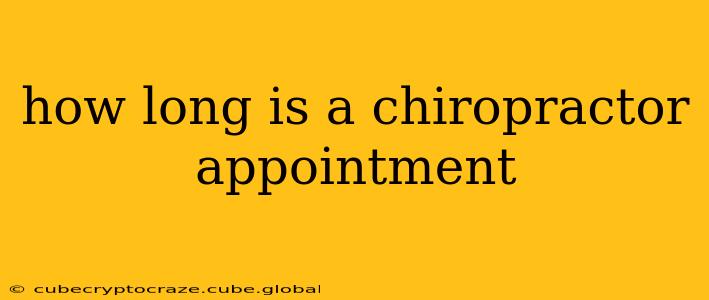 how long is a chiropractor appointment