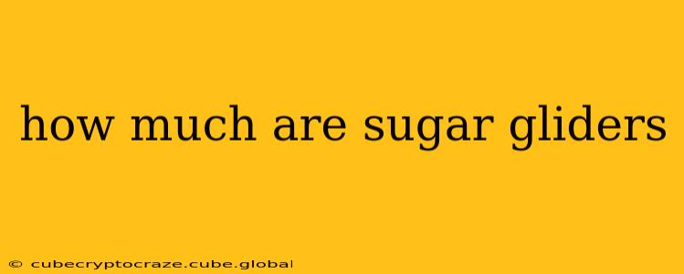 how much are sugar gliders