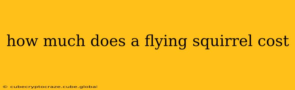 how much does a flying squirrel cost