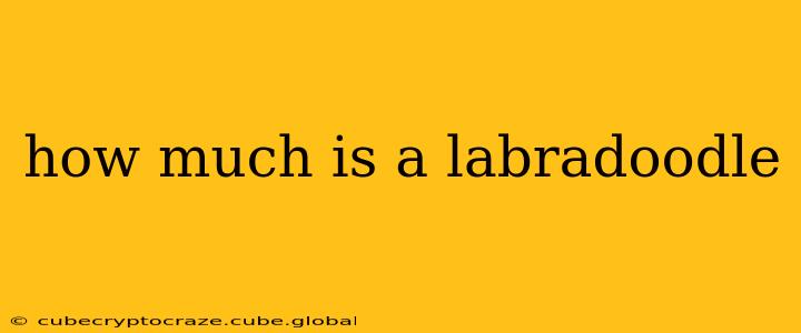 how much is a labradoodle